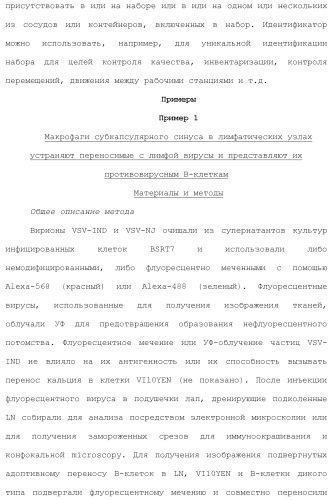 Включение адъюванта в иммунонанотерапевтические средства (патент 2496517)