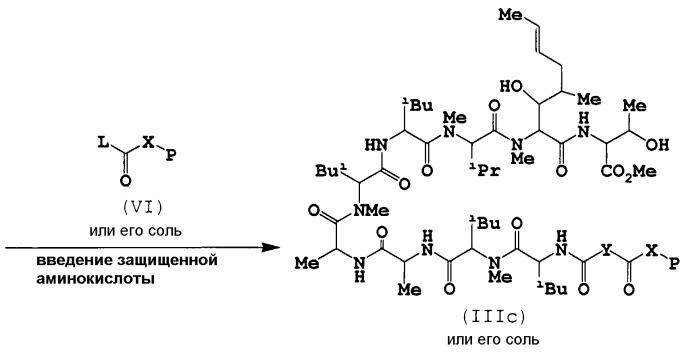 Новые циклические пептидные соединения (патент 2423377)