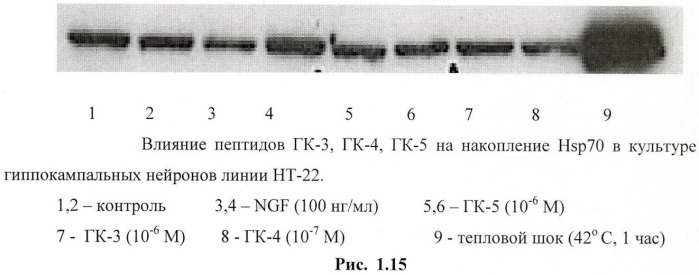 Дипептидные миметики нейротрофинов ngf и bdnf (патент 2410392)
