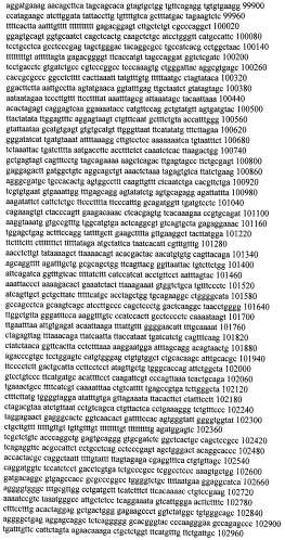 Модуляция экспрессии гентингтина (патент 2562861)