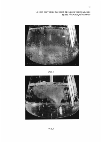 Способ получения белковой биомассы базидиального гриба pleurotus pulmonarius (патент 2588474)