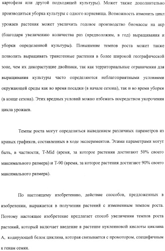 Растения с повышенной урожайностью и способ их получения (патент 2377306)