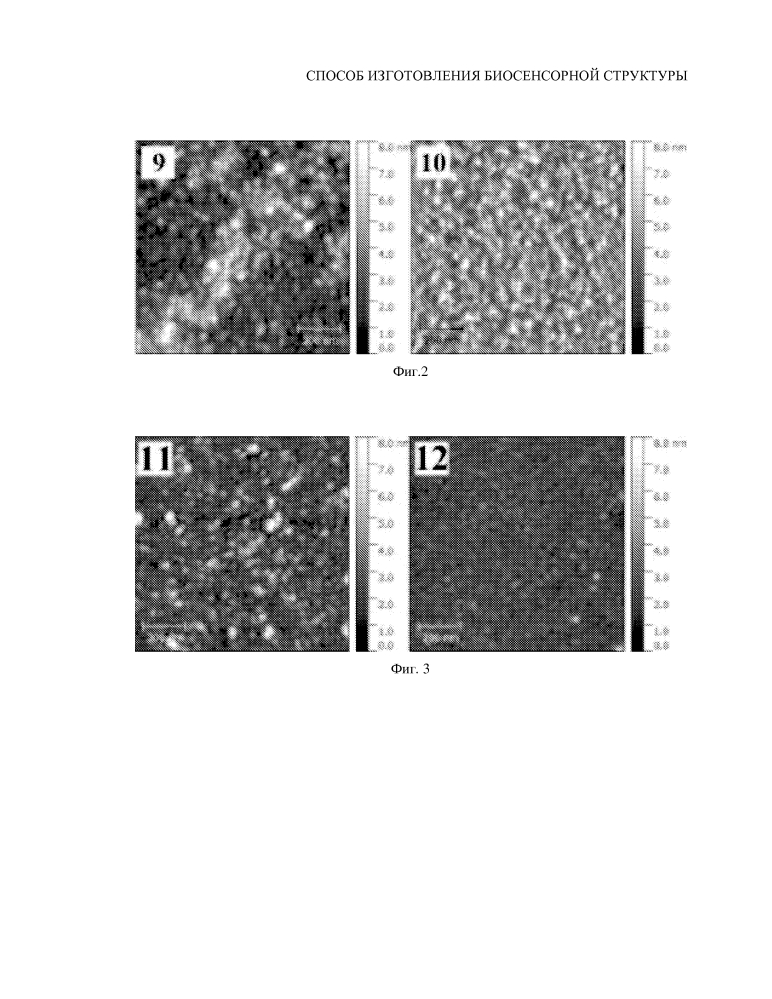 Способ изготовления биосенсорной структуры (патент 2644979)