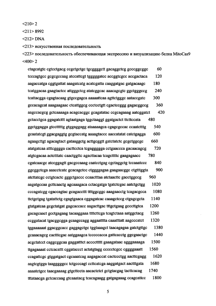 Генетическая конструкция на основе системы редактирования генома crispr/cas9, кодирующая нуклеазу cas9, специфически импортируемую в митохондрии клеток человека (патент 2634395)