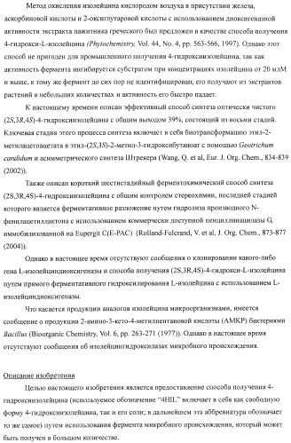 Способ продукции 4-гидрокси-l-изолейцина (патент 2402608)