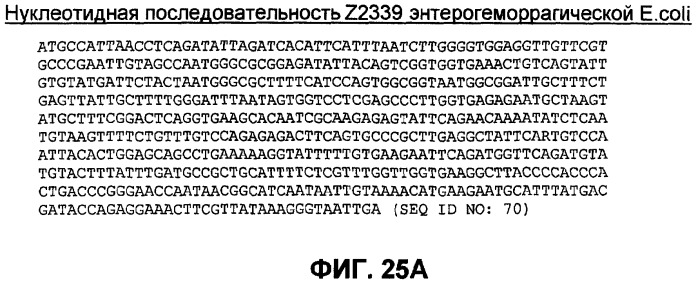 Бактериальные факторы вирулентности и варианты их применения (патент 2465331)