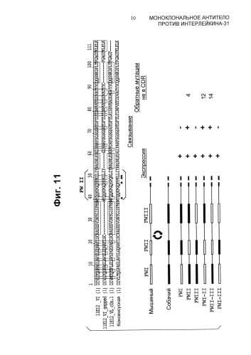 Моноклональное антитело против интерлейкина-31 (патент 2588462)