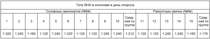 Живая сухая вакцина &quot;ис&quot; против эпизоотической диареи свиней и способ профилактики эпизоотической диареи свиней (патент 2440823)