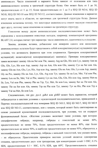 Бактерия, принадлежащая к роду pantoea, - продуцент l-аспартата или метаболита, являющегося производным l-аспартата, и способ получения l-аспартата или метаболита, являющегося производным l-аспартата (патент 2411289)