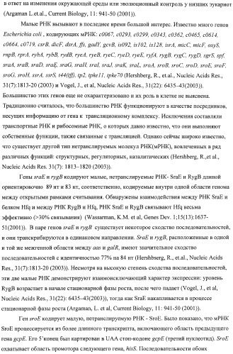 Способ получения l-аминокислот с использованием бактерии, принадлежащей к роду escherichia, в которой инактивирован один или несколько генов, кодирующих малые рнк (патент 2395567)