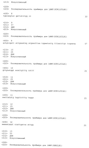 Набор праймеров, используемый для определения дрожжей рода saccharomyces (патент 2432402)