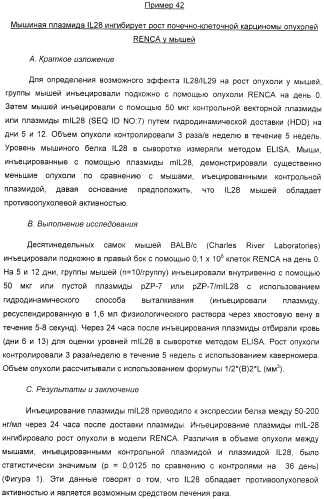 Применение il-28 и il-29 для лечения карциномы и аутоиммунных нарушений (патент 2389502)