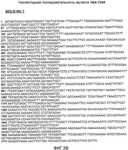 Полипептиды, селективные в отношении интегрина αvβ3, конъюгированные с вариантом челевеческого сывороточного альбумина (hsa), и их фармацевтические применения (патент 2547592)