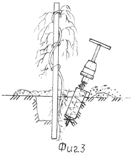 Устройство для катаровки виноградных кустов, подсадки саженцев (патент 2523145)
