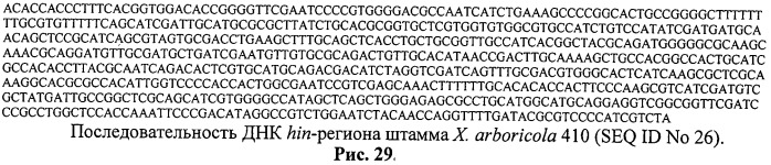 Способ идентификации и дифференциации прокариотических организмов (патент 2486251)