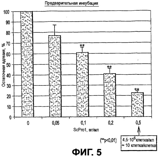 Дрожжи saccharomyces cerevisiae, используемые в качестве пробиотика, и композиция на их основе (патент 2490324)