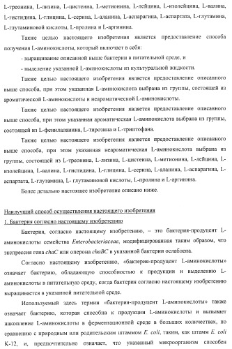 Способ получения l-треонина или l-аргинина с использованием бактерии, принадлежащей к роду escherichia, в которой инактивирован ген chac или оперон chabc (патент 2392327)