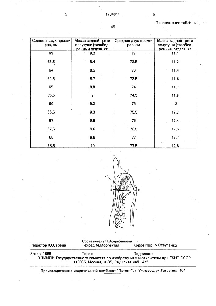 Способ определения массы задней трети полутуши свиней (патент 1734011)