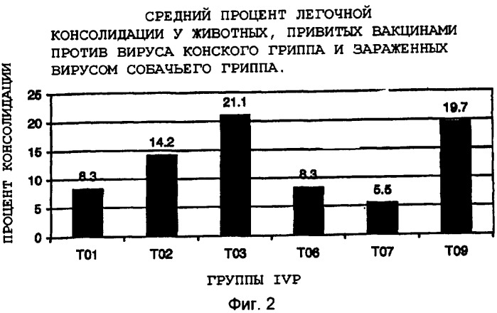 Вакцины и способы лечения собачьего гриппа (патент 2396976)