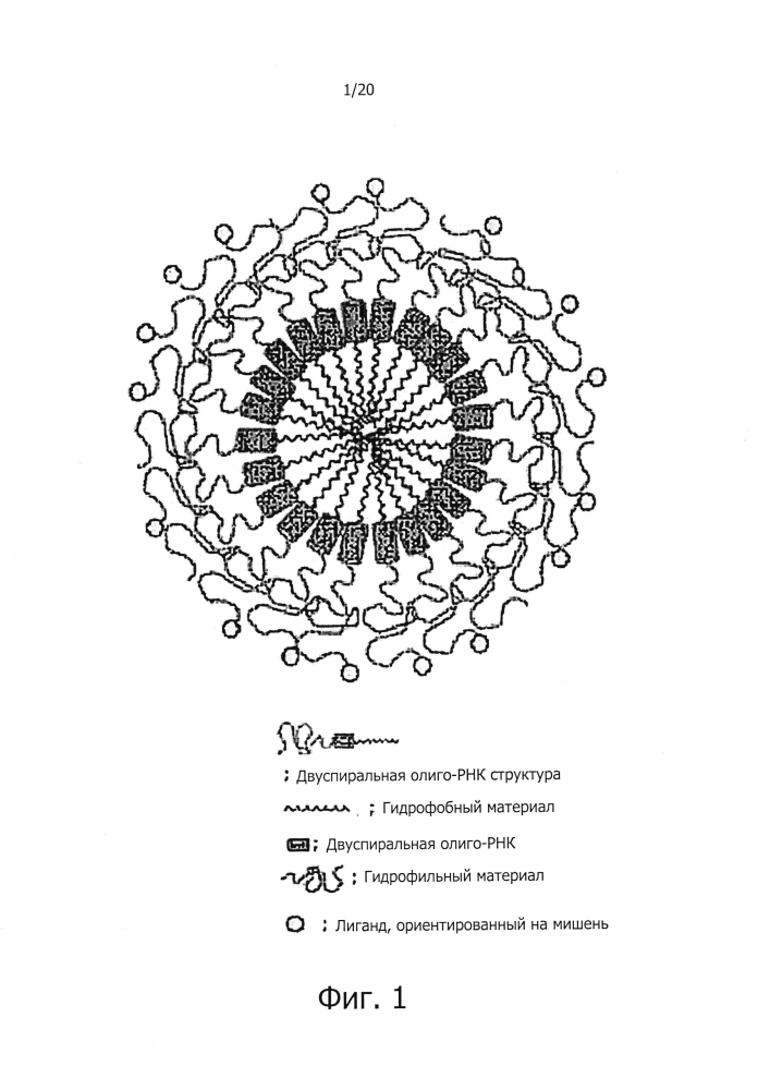 Новые конъюгаты олигонуклеотидов и их применение (патент 2599449)