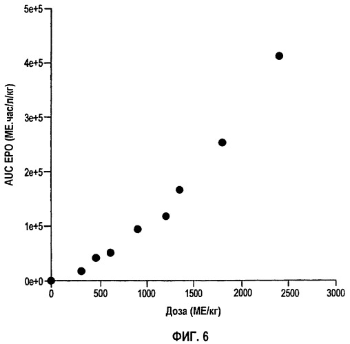 Фармакокинетическое и фармакодинамическое моделирование введения эритропоэтина (патент 2248215)