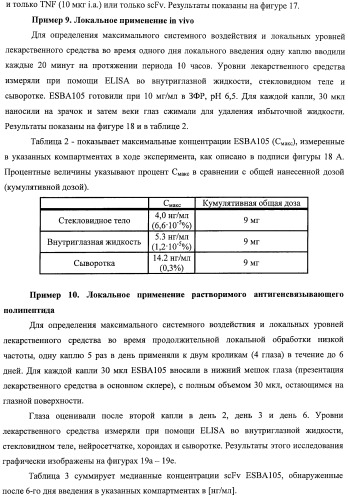 Scfv-антитела, которые проходят через эпителиальный и/или эндотелиальный слои (патент 2438708)