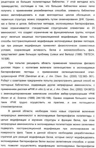 Селективная посттрансляционная модификация экспонируемых фагами полипептидов (патент 2459866)