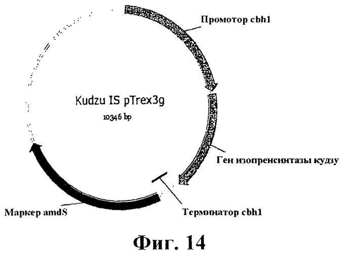 Композиции и способы получения изопрена (патент 2545699)