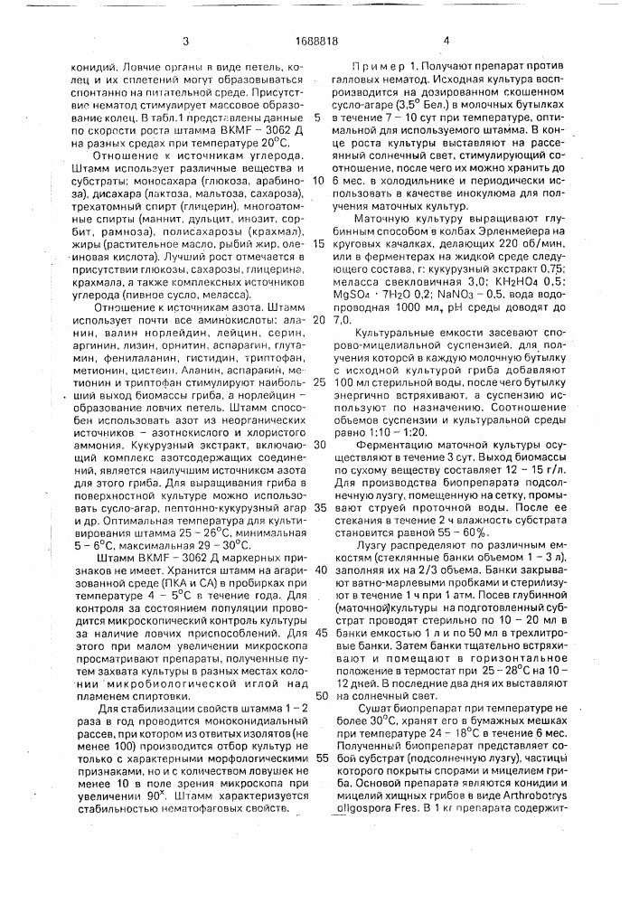 Штамм гриба аrтнrовотrys digospora fres. для получения препарата против галловых нематод (патент 1688818)