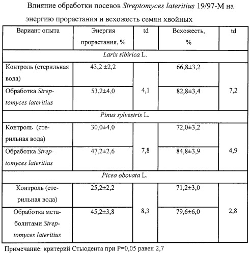 Штамм актиномицета streptomyces lateritius 19/97-m, используемый для стимулирования роста и защиты сеянцев хвойных от возбудителей болезней, вызываемых грибами родов fusarium и alternaria (патент 2261902)