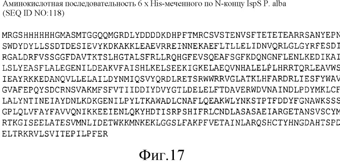 Варианты изопренсинтазы, применяемые для улучшения продуцирования изопрена микроорганизмами (патент 2516343)
