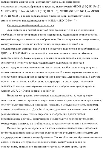 Стабилизированные антитела против ангиопоэтина-2 и их применение (патент 2509085)