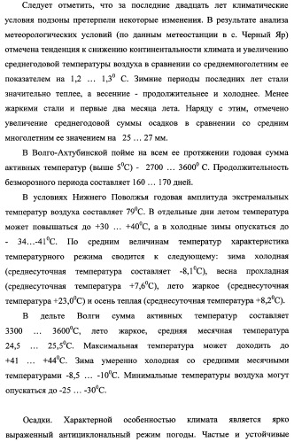Способ прогнозирования семенной продуктивности солодки голой и солодки уральской сухостепного, лиманного и пойменного экотипов (патент 2360403)