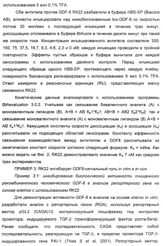 Антитела к gdf8 и их применения (патент 2447084)