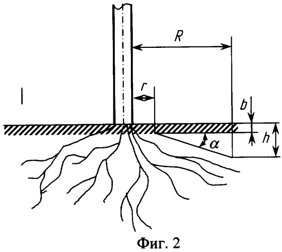 Способ приствольной обработки почвы у деревьев и кустарников (патент 2322780)
