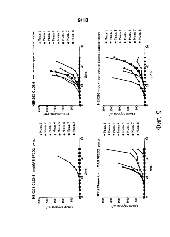 Лечение рака при помощи направленных на мишень антител in vivo (патент 2642305)