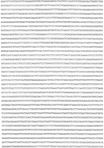 Применение s1p (патент 2362565)