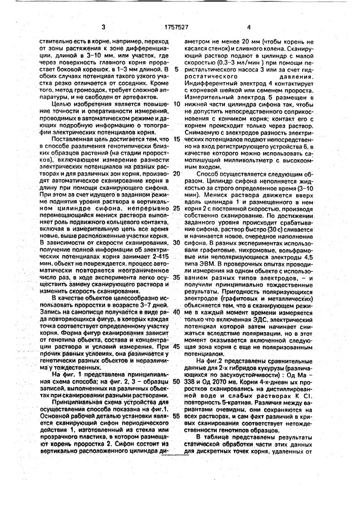 Способ различия генетически близких образцов растений (патент 1757527)