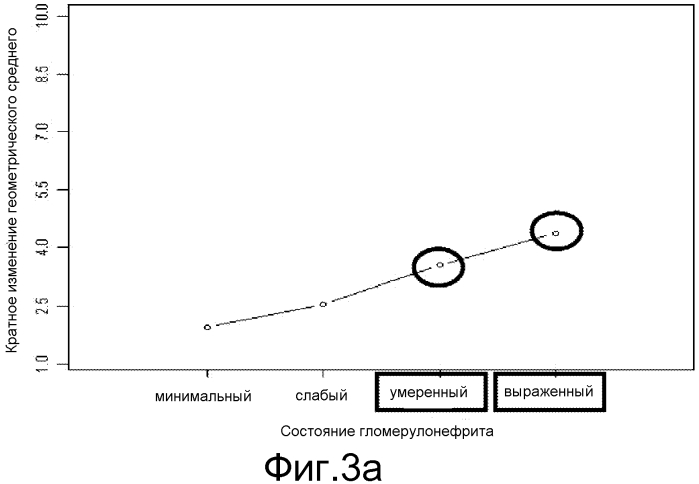 Способ и набор для диагностики гломерулонефрита у кошки (патент 2564122)