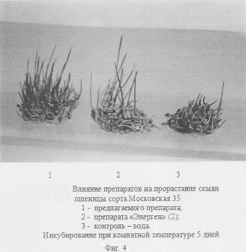 Препарат для стимуляции проращивания семян и повышения устойчивости проростков к дефициту влаги и способ его получения (патент 2337543)