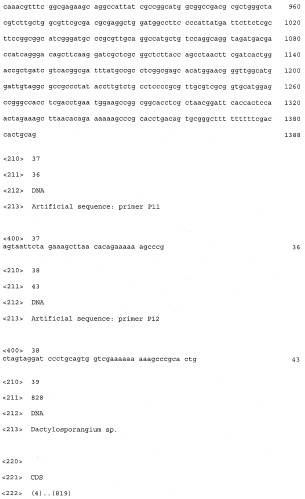 Бактерия - продуцент продукта реакции, катализируемой белком, обладающим активностью 2-оксоглутарат-зависимого фермента, и способ продукции указанного продукта (патент 2444568)