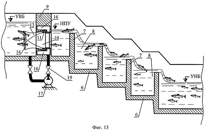 Способ пропуска рыб через рыбоход из нижнего бьефа гидроузла в верхний бьеф (варианты) (патент 2377365)