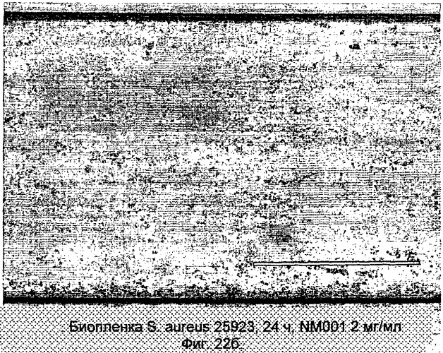 Ингибирование организмов биопленки (патент 2548786)