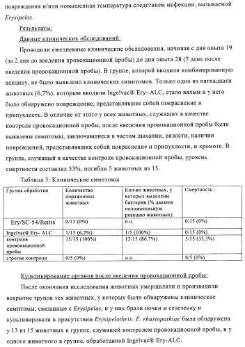 Иммуногенные композиции, содержащие lawsonia intracellularis (патент 2443430)