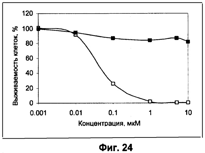 Водорастворимые анионсодержащие производные бактериохлорофилла и их применение (патент 2353624)