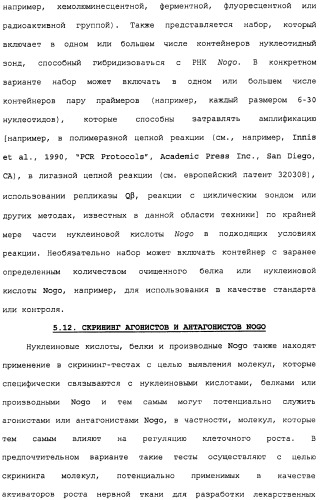 Поликлональное антитело против nogo, фармацевтическая композиция и применение антитела для изготовления лекарственного средства (патент 2432364)