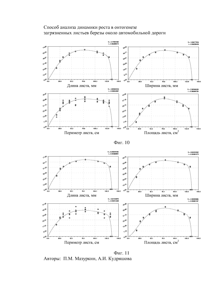 Способ анализа динамики роста в онтогенезе загрязненных листьев березы около автомобильной дороги (патент 2597643)