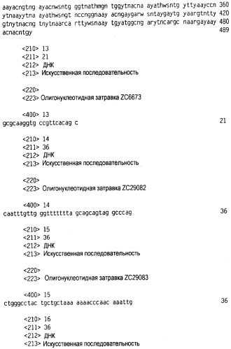 Новый лиганд рецептора цитокина zcytor17 (патент 2490276)