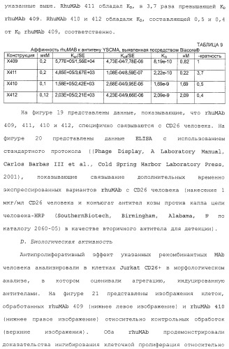 Антитела против сd26 и способы их применения (патент 2486204)