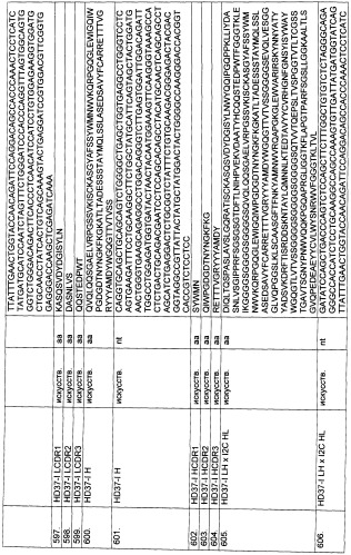 Pscaxcd3, cd19xcd3, c-metxcd3, эндосиалинxcd3, epcamxcd3, igf-1rxcd3 или fap-альфаxcd3 биспецифическое одноцепочечное антитело с межвидовой специфичностью (патент 2547600)